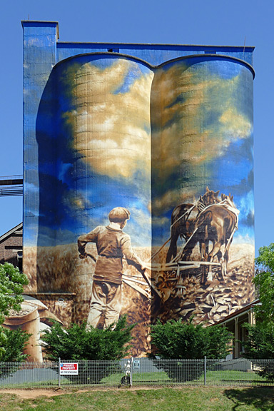 Murrumburrah- Silo Art 2024 (from Bruce Fairhall)