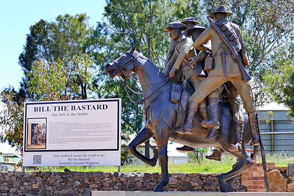 Murrumburrah- Bill the Bastard - hero warhorse 2024 (from Bruce Fairhall)